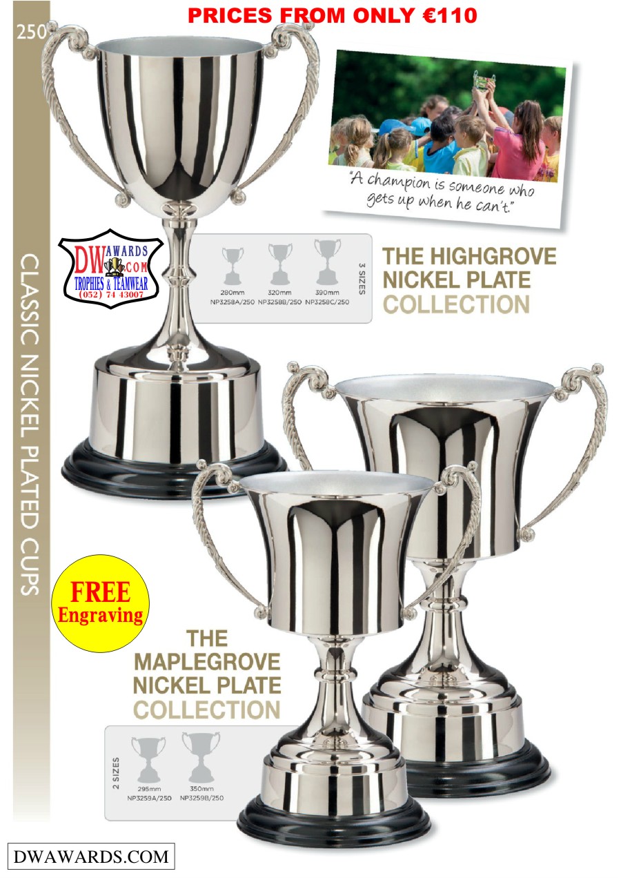 DW Awards Perpetual Trophies Cups Shields