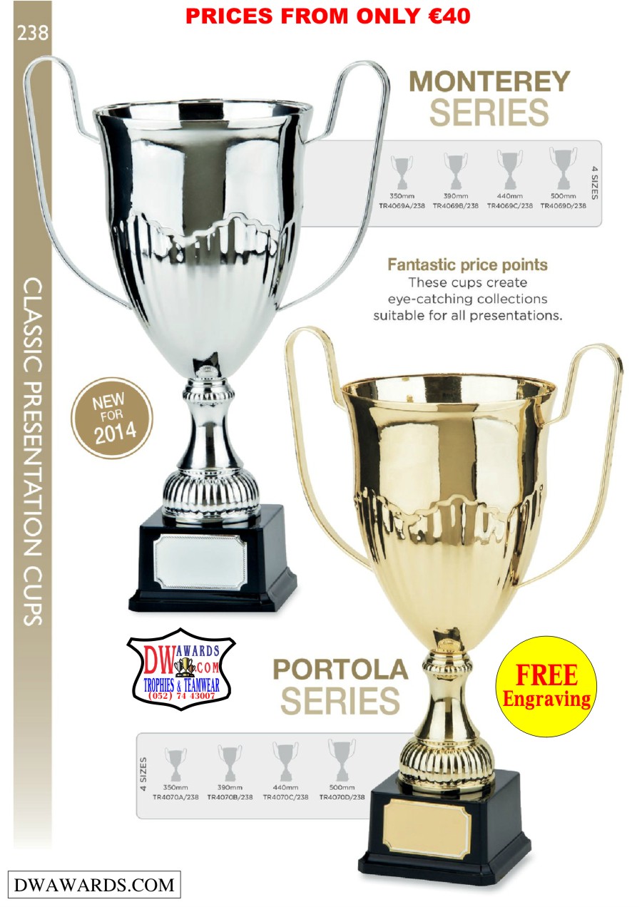 DW Awards Multi Sport Trophies