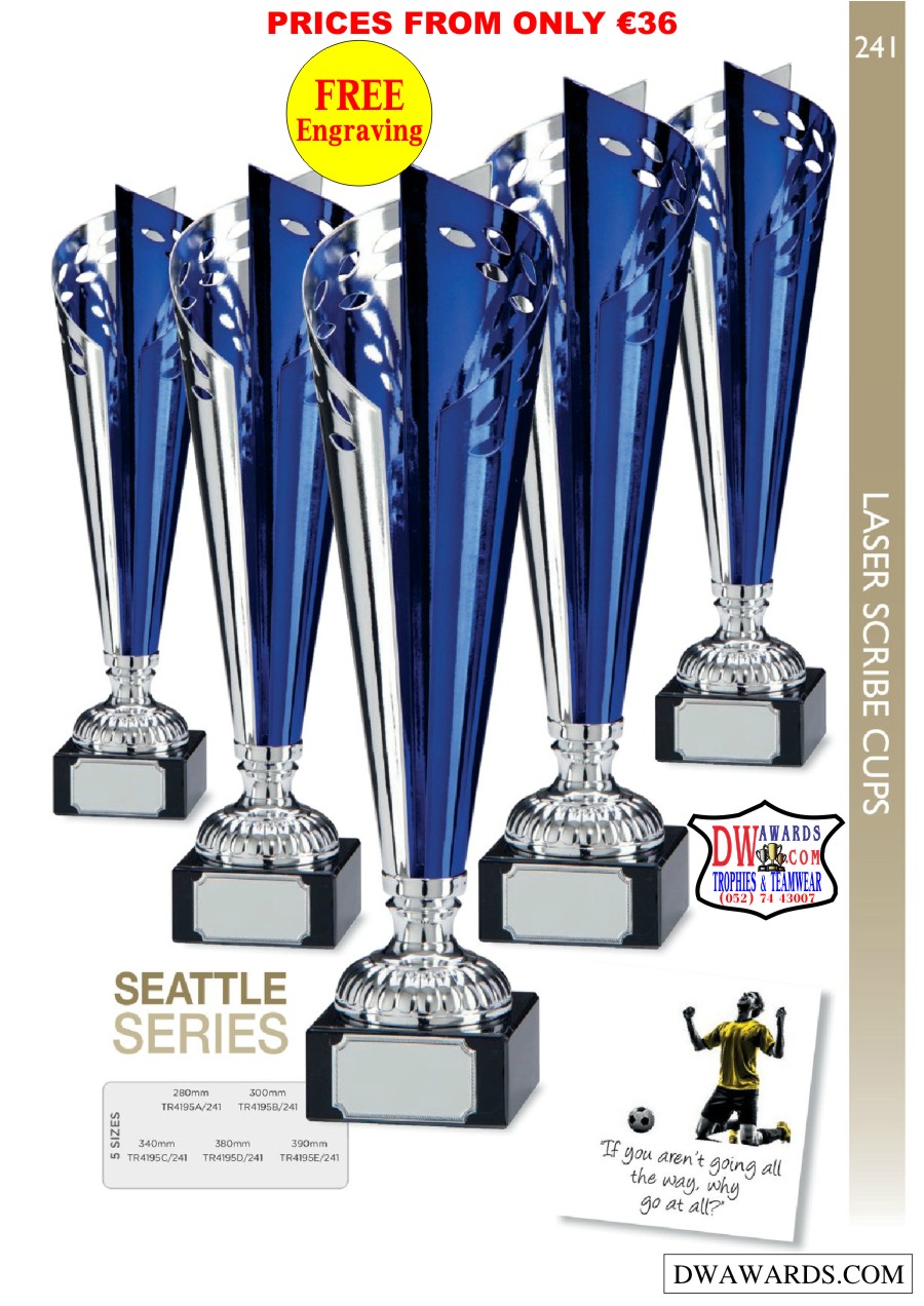 DW Awards Multi Sport Trophies